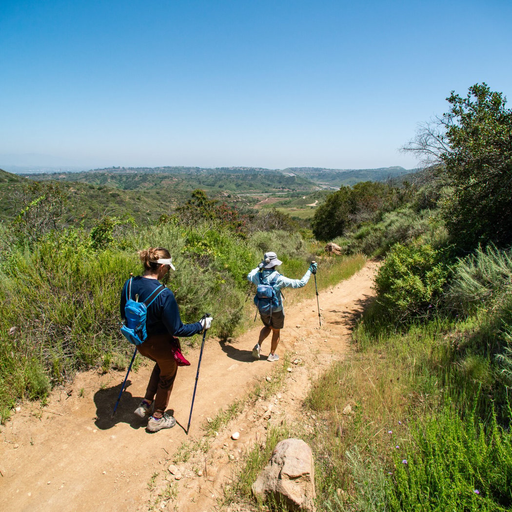 Explorers Hike: Laurel Canyon Loop 1